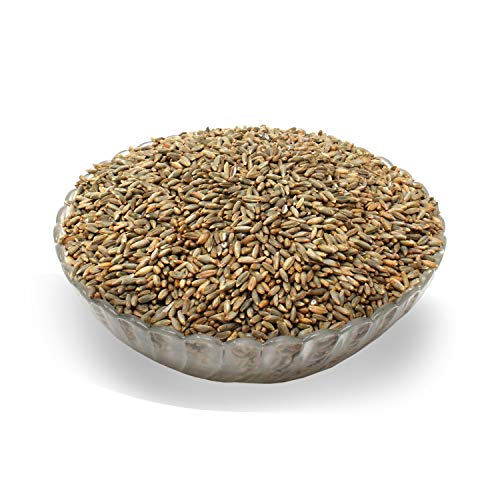 LanDixx Bio-Roggen 10kg - Landroggen aus dem Werra-Meißner-Kreis - Aus kontrolliert biologischem Anbau