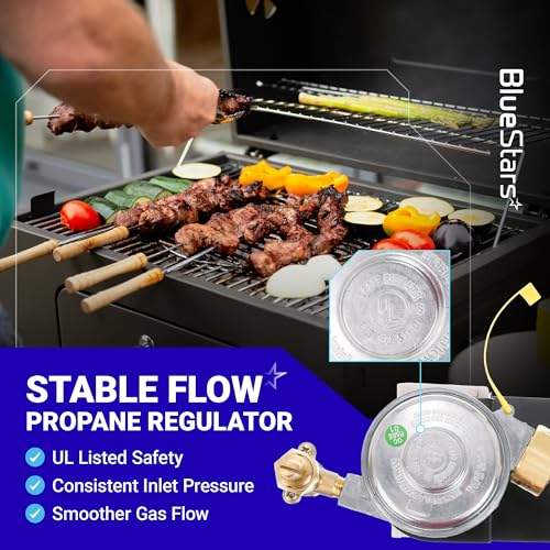 Image of BlueStars 80477 Regulator 69957 Burner Tube for Weber Q Grill Q100 Q120 Series 386001 386002 516501 516002 516801 - Gas Valve Regulator &17in Burner Replacement Kit - CSA Certified
