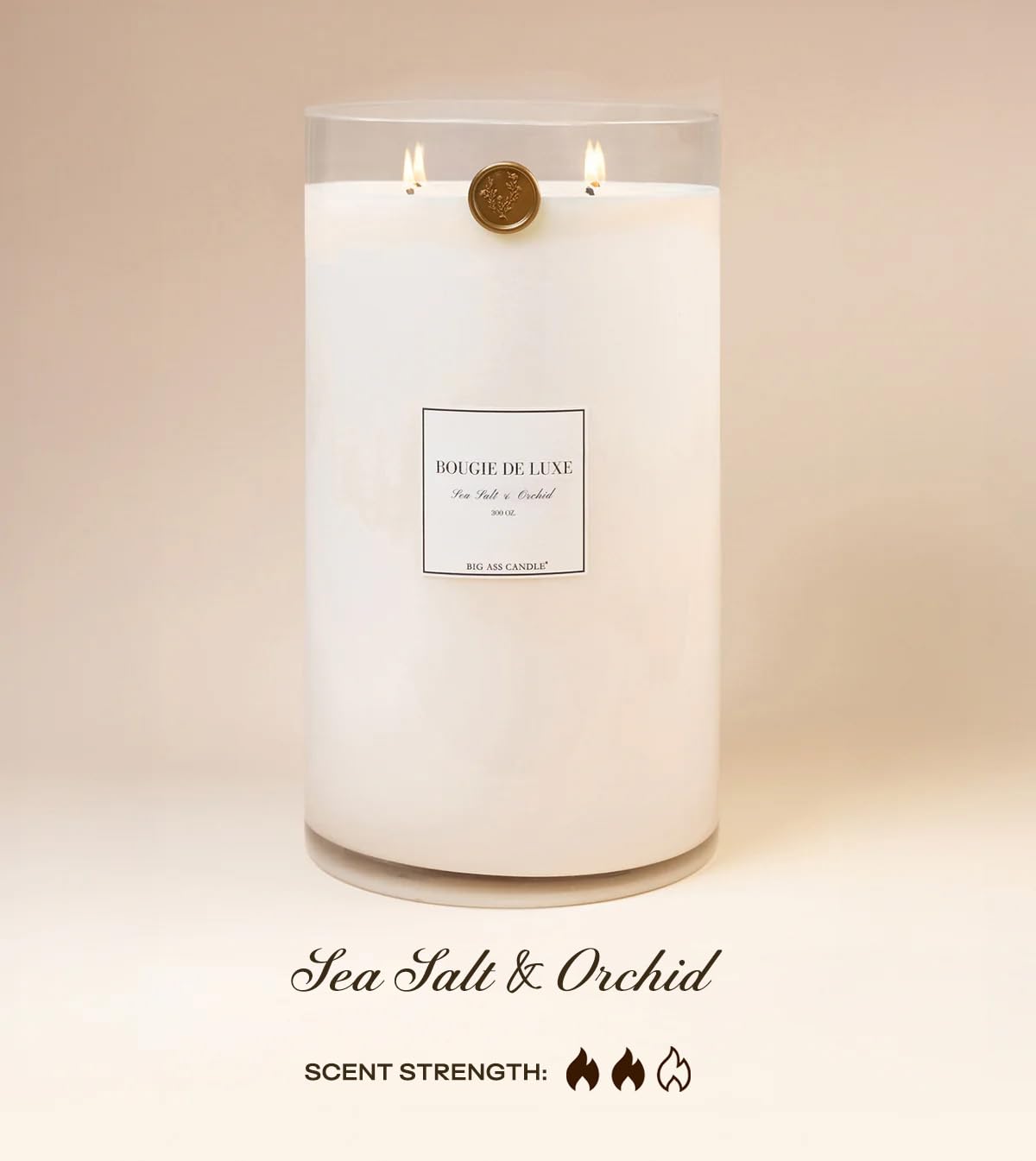 Amazon.com: Big Ass Candle | Massive 20lb Luxury Candle, 300oz, 1000 Hours  | Sea Salt & Orchid | Sea Salt, Jasmine, Lily | Natural Coconut-Soy Wax |  by Big Ass Luxuries |
