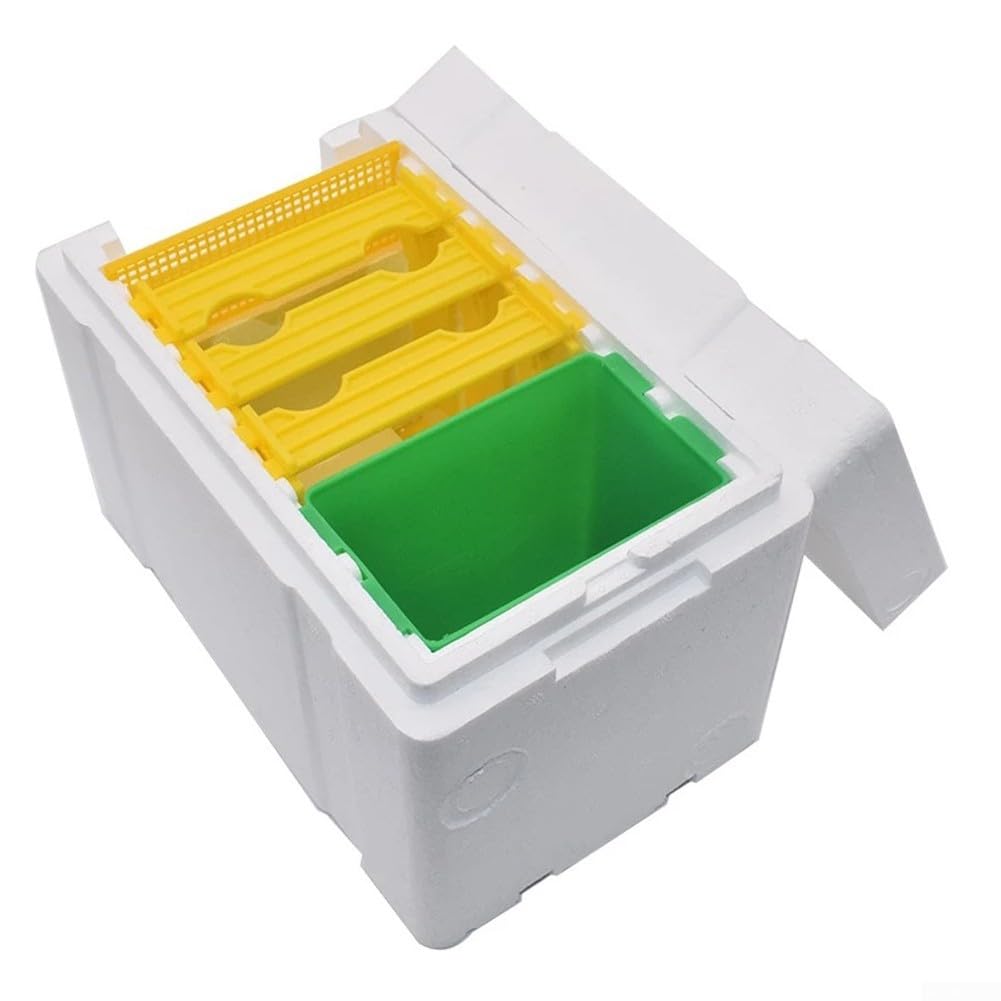 Boîte d'accouplement des abeilles, mini ruche, boîtes à abeilles avec distributeur d'eau, outil d'élevage et de récolte d'abeilles, maison naturelle