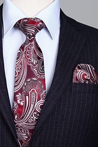 Image of HISDERN Ties for Men Paisley Tie and Pocket Square Woven Classic Floral Mens Ties Handkerchief Set Wedding Party Necktie