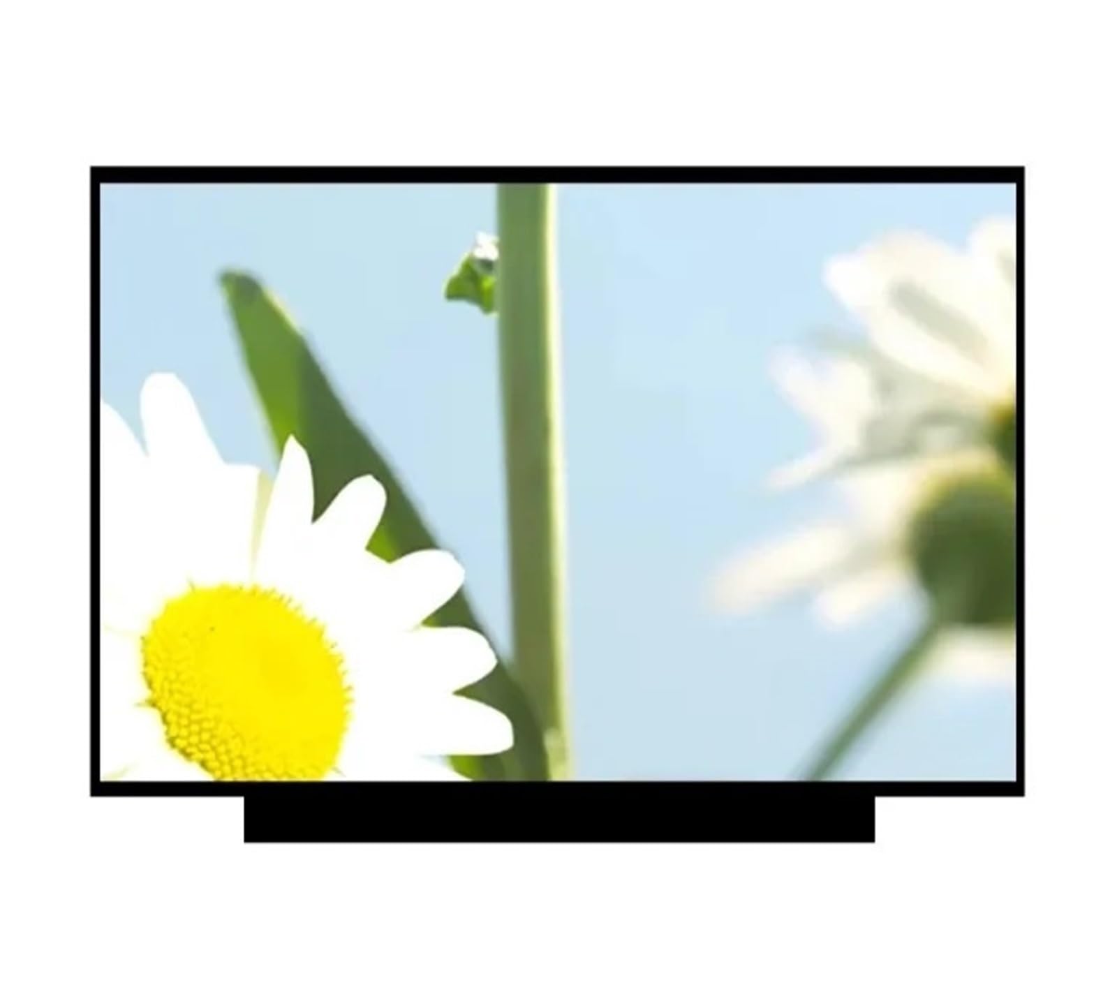 L14 P14S T14S G2 Thinkbook 14, Compatibile Con Thinkpad, Display LCD