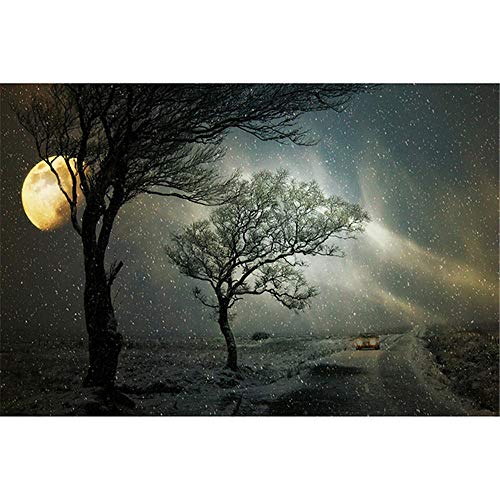 l̂߂1000s[X̃WO\[pY-̎ԑl̂߂1000s[X̃WO\[pY-30x20C`i75 x 50cmj