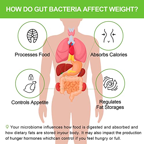 300 Billion Cfus Probiotic, Premium Daily Probiotics For Women & Men, 6 Target Strains Probiotics + Organic Prebiotics, Probiotics For Digestive Health, Gut Health, Immune, Gas & Bloating, 60 Capsules #TOP4