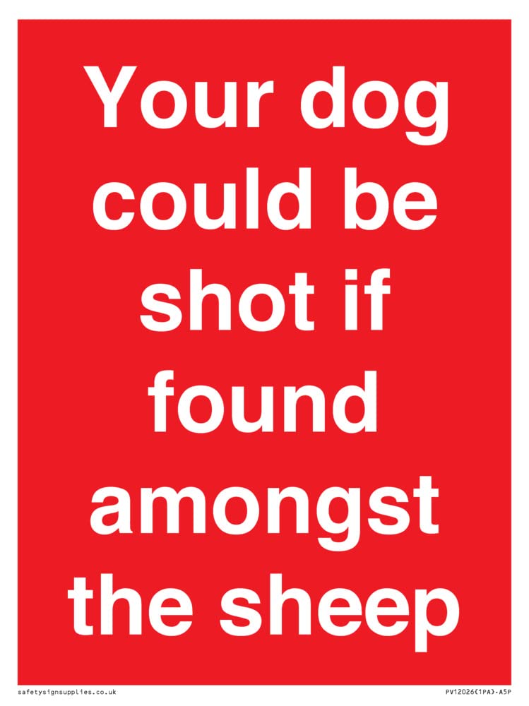 Your dog could be shot if found amongst the sheep Sign - 150x200mm - A5P