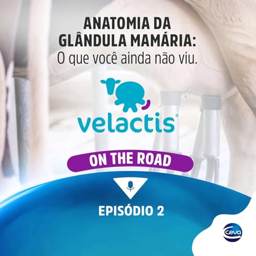 Velactis On The Road #02 | Anatomia da gl&acirc;ndula mam&aacute;ria: o que voc&ecirc; ainda n&atilde;o viu