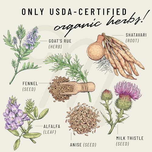 Image of Legendairy Milk Liquid Gold Lactation Support | Lactation Supplement with Organic Goats Rue, Milk Thistle, Shatavari, Fennel, Alfalfa & Anise | Breastfeeding Supplements, 2 Pack