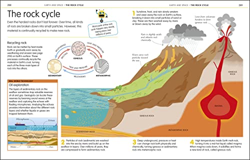 How to Be Good at Science, Technology, and Engineering (DK How to Be Good at) - Image 12