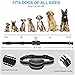 VUOIEOP Bark Collar-Rechargeable Barking Control Training Collar, Anti-Bark Training Device with 5 Adjustable Sensitivity Control, Intensity Beep Vibration and No Harm Shock for Small Medium Large Dog