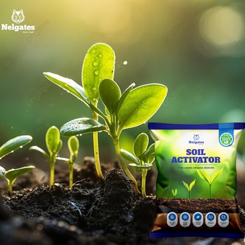 Image of Soil Activator for Plants | Organic Manure Blend for Home Gardens | Improves Soil Health and Supports Strong Plant Growth 500g