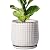 D'vine Dev Ceramic Beaded Stoneware Planter Pot - Flower Pot with Drainage Holes and Saucers, 27-C