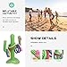 ibasenice 1Set Inflatable Cactus Ring Toss Game with Cactus Rings Durable Floating for Pool Beach and Garden Parties Fun Decorative Plaything