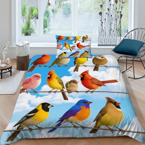 Housse de couette 2 pièces aesthetic sky birds lit simple microfibre