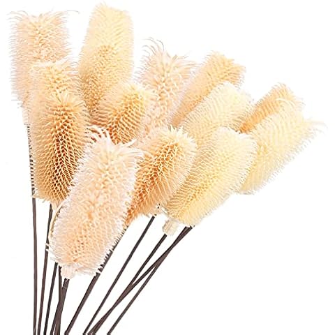 HUAESIN 12 Pcs Getrocknete Blumen Deko Natürliche Trockenblume Deko Groß Trockene Blume Weiß für Fotografie Vase Hause Tischdeko Party Hochzeit Dekoration 50cm Cover