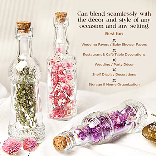 Kitchen Lux Vintage Small Bottles With Corks, Assorted Shapes [12-Pack] Clear Mini Glass Jars With Cork Lids For Crafts, Party Favors & Wedding Decorations- Small Bud Vases/Sand Art Bottles #TOP3