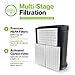 Durabasics 3 HEPA Filter Set for HPA300 Honeywell Air Purifier Filters & Honeywell HPA300 - Compatible with Air Purifier Replacement HPA 300 - Replacements for Filter R & HPA 300 Filter