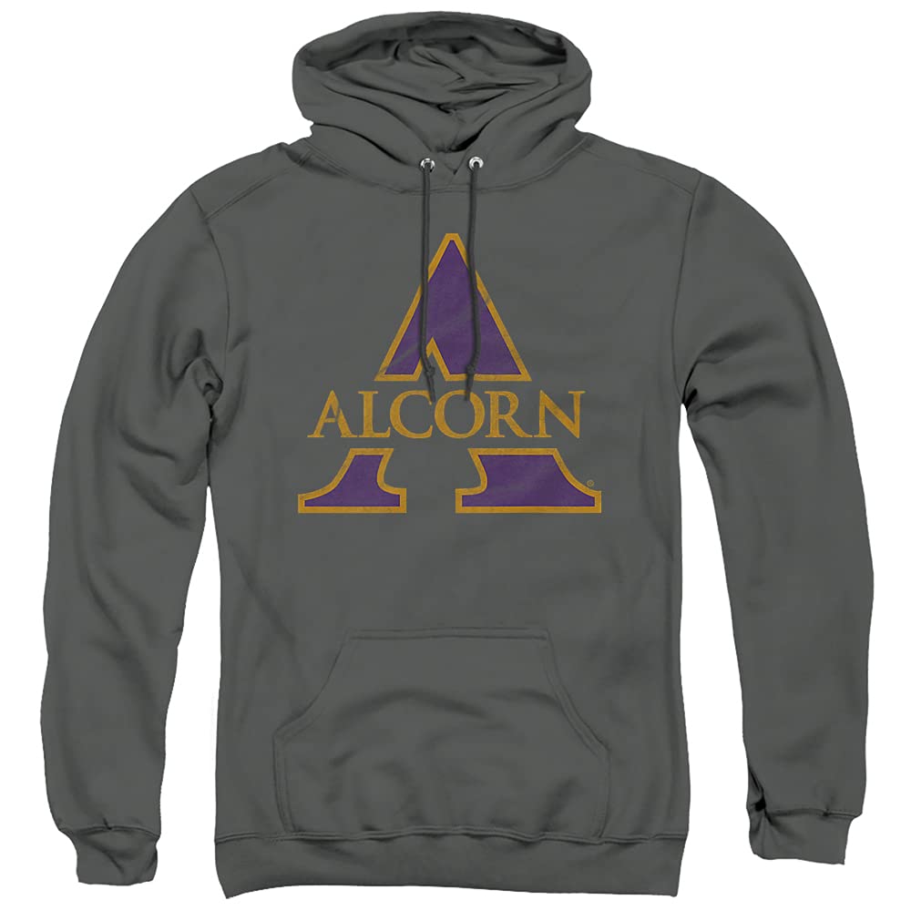 LOGOVISION Official Collegiate Distressed Primary Logo Adult Pullover Hoodie Collection — view 393