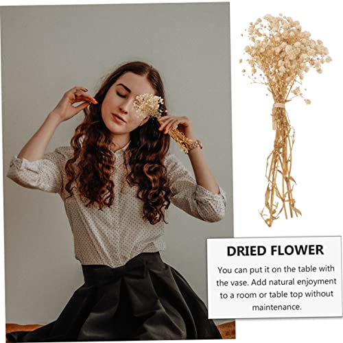 Ramo Seco de Flores Luz de Bebé Beige para Decoración miniatura 7