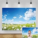 Renaiss 5x3ft Spring Natural Landscape Backdrop Daisy Meadow Blue Sky White Clouds Photography Background Wild Flower Outdoor Wedding Spring Party Decoration Portraits Photo Studio Props Wallpaper