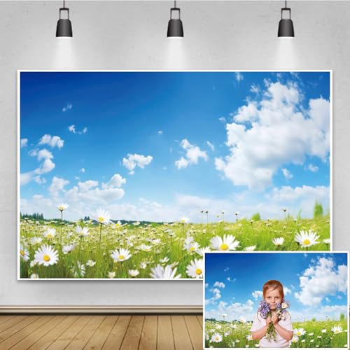 Renaiss 10x7ft Spring Natural Landscape Backdrop Daisy Meadow Blue Sky