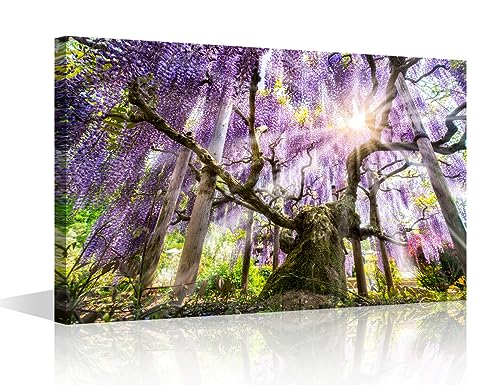 Wisteria Japonaise Décoration Murale Toile Paysage Naturel Salon 61x40cm