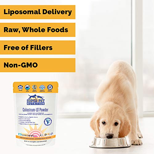 Veterinarian-Approved-Super-Pet-Nutrition-for-Dogs-and-Cats-Liposomal-Bovine-Colostrum-Rich-in-Immunoglobulins-25-Support-for-Immune-and-Digestive-Systems-Allergies-176-Ounces Veterinarian Approved Super Pet Nutrition for Dogs and Cats Liposomal Bovine Colostrum Rich in Immunoglobulins 25 Support for Immune and Digestive Systems Allergies 176 Ounces
