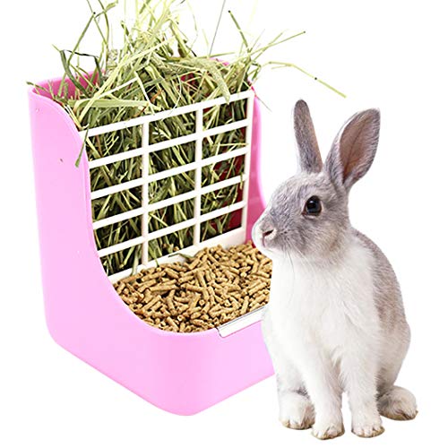20 Best Rabbit Hay Feeders and Everything about Hay Racks 2020
