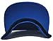 FUBU New 30th Anniversary Limited Edition Logo Royal Blue White Era Snapback Hat Cap
