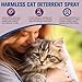 Dawvohk Bitter Apple Cat Deterrent Spray,120ml/4.06 fl.oz Natural Non-Scratch Spray, Safe Indoor & Outdoor Training Aid, for Dogs and Kittens,Protect Curtains, Furniture, Sofas, Cushions (1PCS)