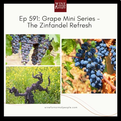 Ep 590: Grape Mini Series - The Zinfandel Refresh