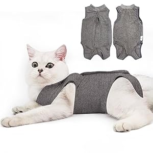 Cat Recovery Suit for Male and Female Surgical Post Surgery Soft Cone Onesie Shirt Clothes Neuter Licking Protective Diapers Outfit Cover Kitten Spay Collar(M, Grey)