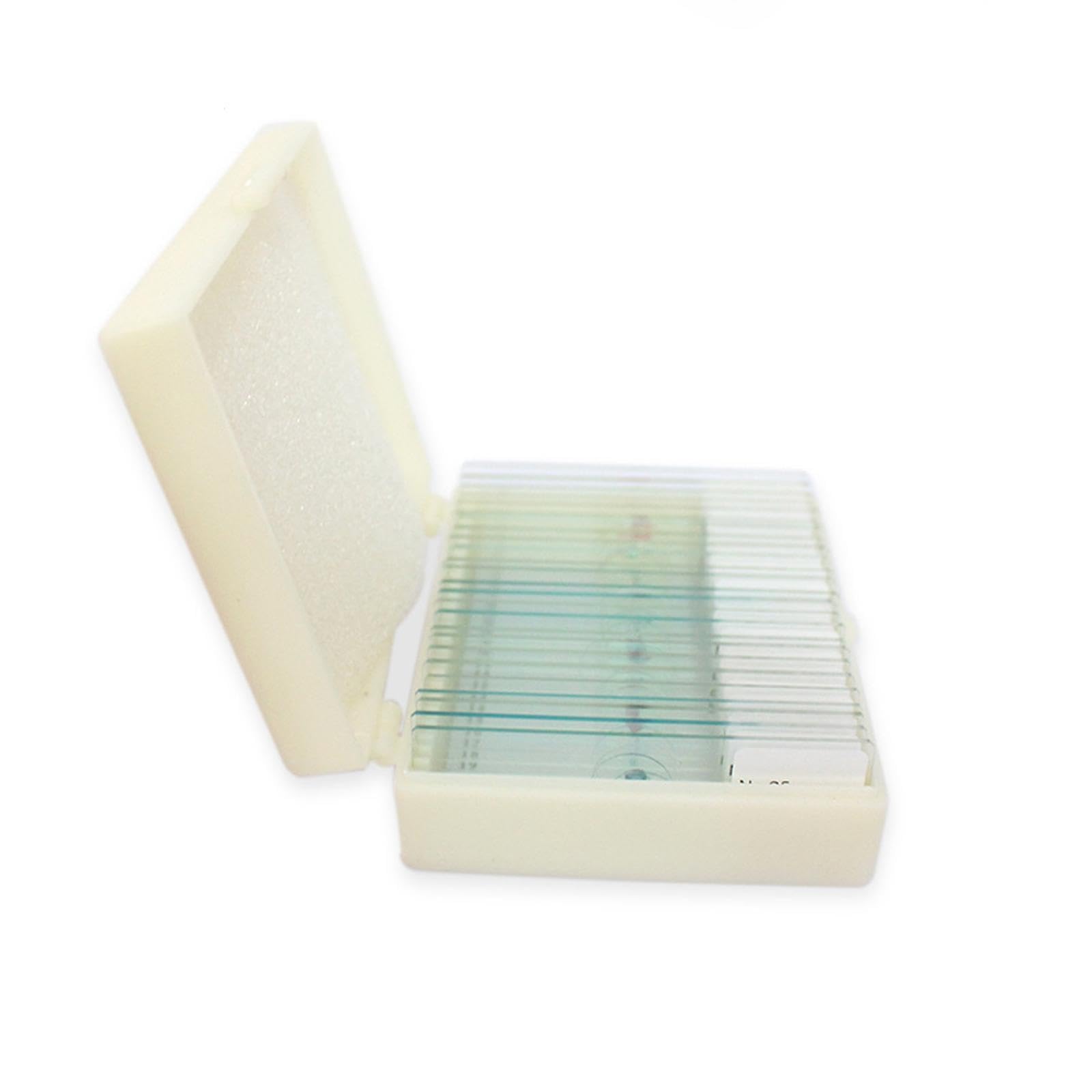 25pcs Microscopio Porta Oggetti Microscopio, vetrini in Vetro per mitosi vegetale, Microscopio Accessori per Laboratorio Scientifico Biologico