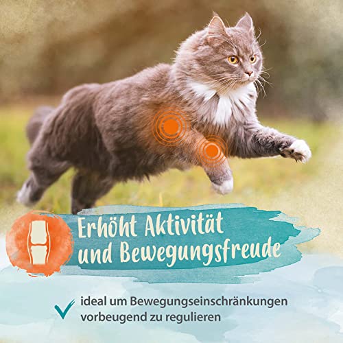 Ida Plus - 100% Grünlippmuschelpulver für Katzen - 100 g - Grünlippmuschel zur Unterstützung der Gelenkfunktion - Vollfettqualität - ohne Zusätze - mit Glykosaminoglykanen, Omega 3, Calcium, Magnesium