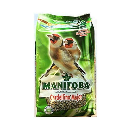 manitoba Cardellino Major 2,5 kg Mangime Completo per Cardellini