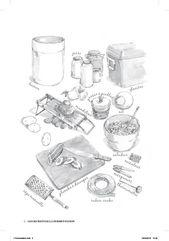 Fermentations !: les microbes nous veulent du bien