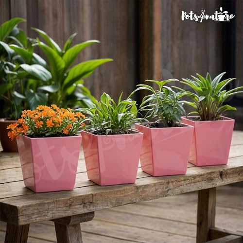 Image of POTS4NATURE Square Pots for Plants | Lightweight Plastic Flower Pot for Indoor & Outdoor Home /Office /Table /Garden /Balcony Decoration | Terracotta Color | 6 Inches (Pack of 4)