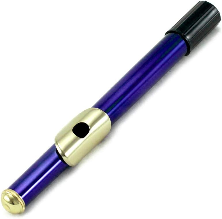 Sky Closed Hole C Flute with 1 Year Manufacturer Warranty, with Lightweight Case, Cleaning Rod, Cloth, Joint Grease and Screw Driver (Blue/Gold Closed Hole)