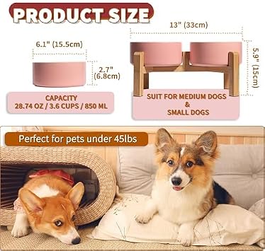Elevated Ceramic Dog Bowl, 3.6 Cups Dog Food and Water Bowl Set with Stand