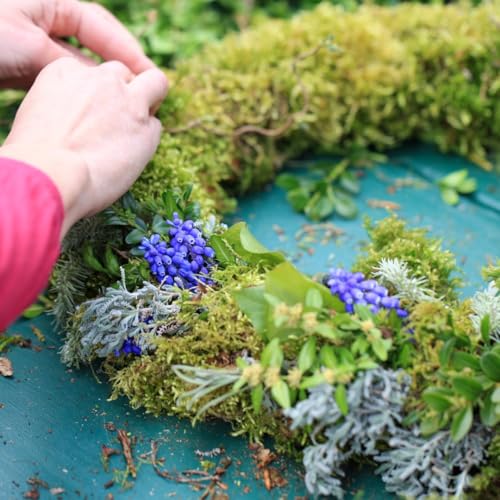 Iflo® Floristiknadeln im Set – Strohblumennadeln, Römerhaften & Efeunadeln für Kränze, Gestecke & Deko (Efeunadeln 10 x 120 mm - 50 Stück)