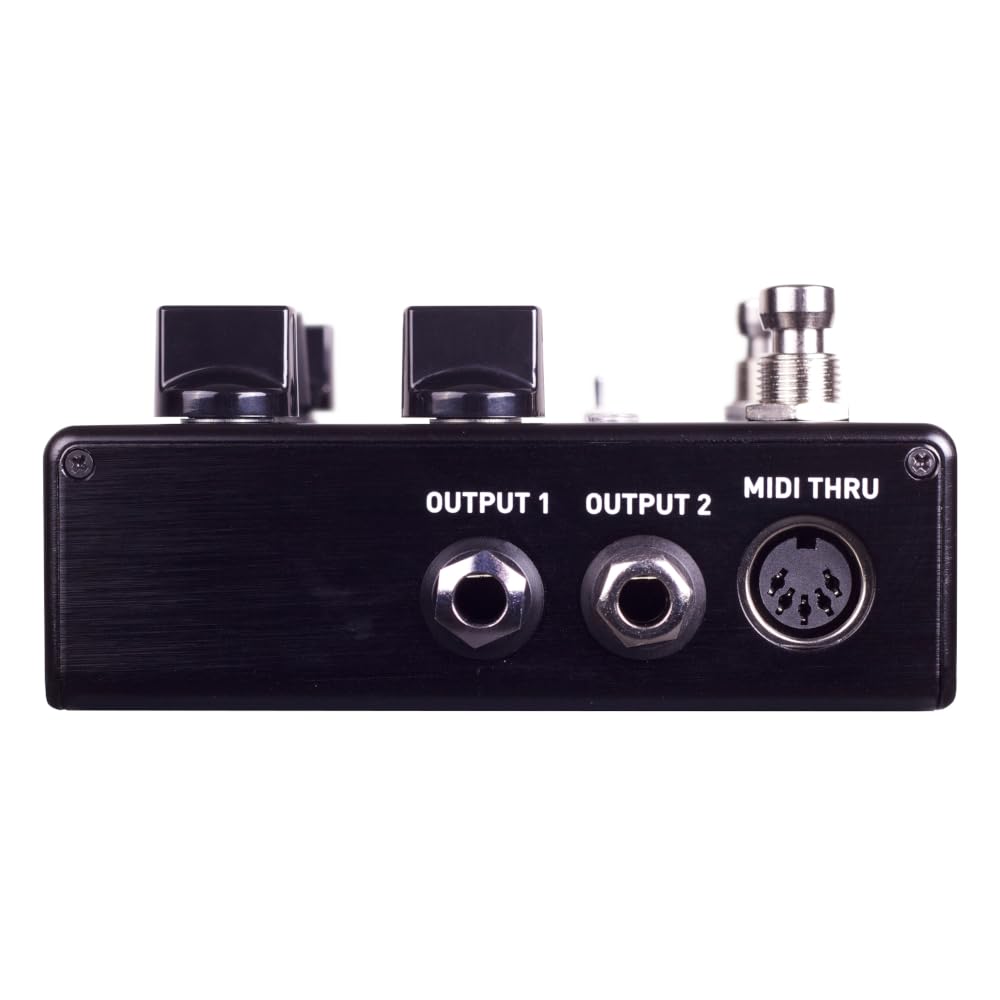 Amazon | Source Audio / SA264 ENCOUNTER Ambient Delay+Reverb