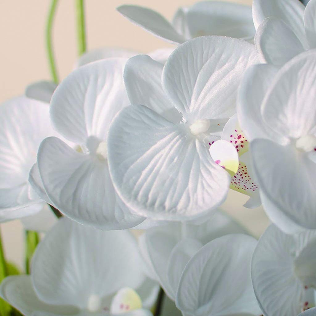 Künstlicher Blumen-Simulations-Phalaenopsis-Pfingstrosen-Bonsai-Blumenstrauß Wird in Wohnzimmer-Hotelpartys verwendet, um Seidenblumen-Kunstblumen-Bonsai
