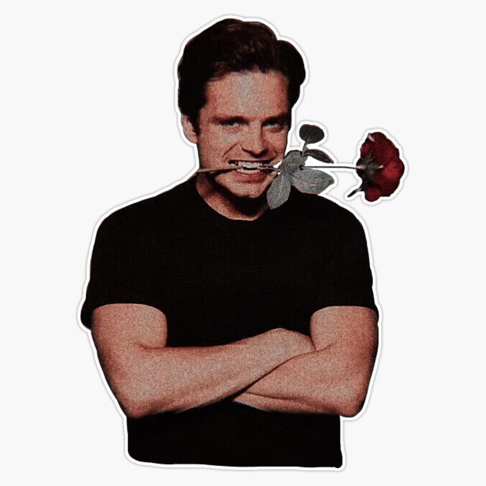 Amazon.com: Sebastian Stan Bumper Sticker Vinyl Decal 5