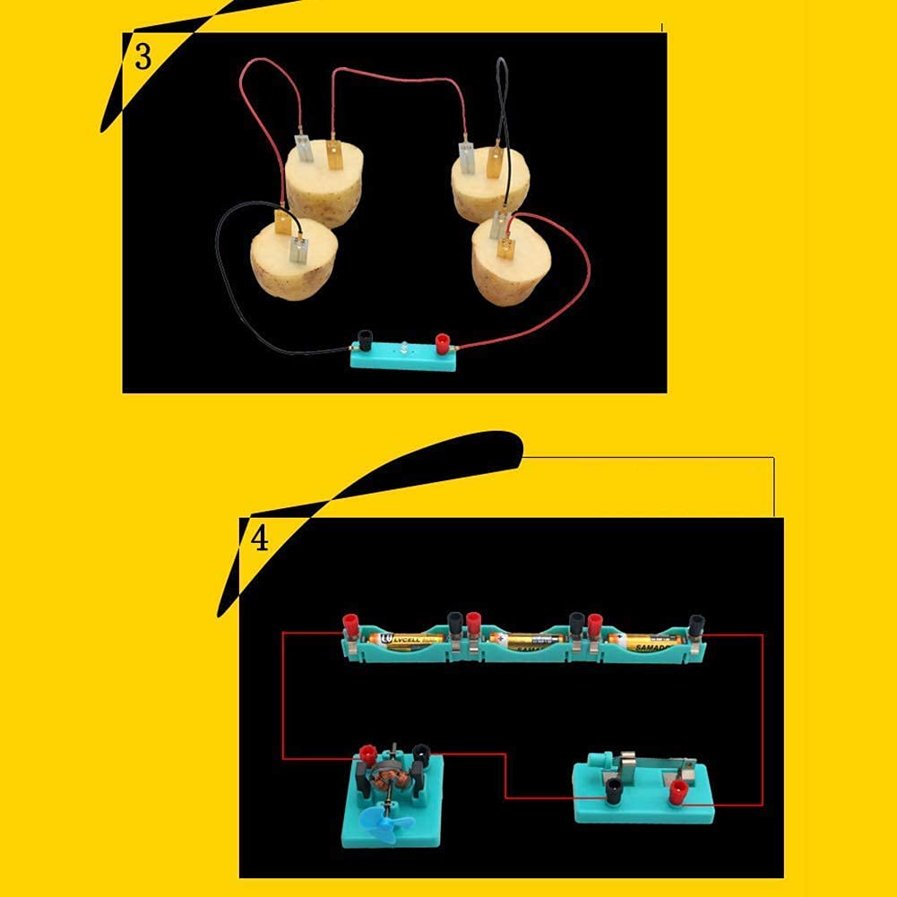 Modello di Scienza Educativa Esperimento di Elettronica Elementare per Studenti delle Scuole Elettromagnetismo Fisica Magnetismo Elettrico Circuito Kit di Base