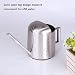 Topmail Mini Regadera de Acero Inoxidable 300 ml con Cuello Largo Boca...