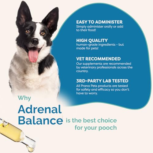 Image of PranaPets Adrenal Balance for Dogs with Cushing's | Naturally Relieves Symptoms of Cushing's in Dogs | Herbal Formula for Dogs with Cushing's