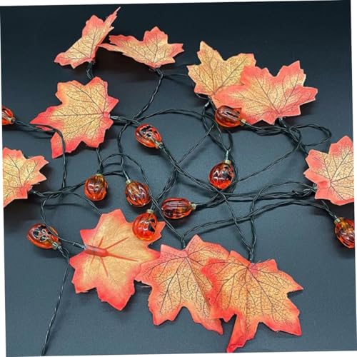 Cadena de luces solar de calabaza con 8 modos de iluminación ajustables para terrazas 4