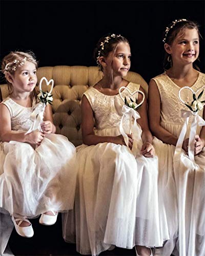 2Bunnies Girl Rose Lace Back A-Line Straight Tutu Tulle Party Flower Girl Dresses (White Sleeveless Maxi, 4T) #TOP3