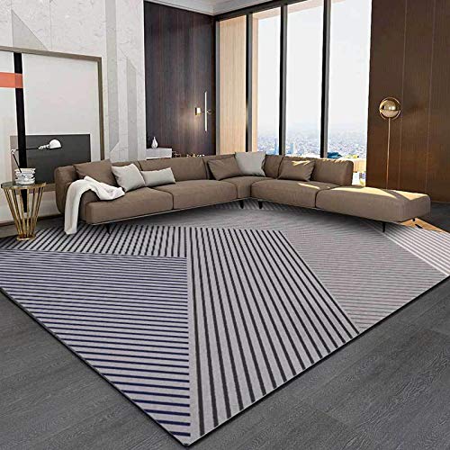 Tapis moderne doux lavable pour éliminer les taches du salon