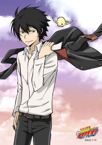Amazon.co.jp: 家庭教師ヒットマンREBORN! メモリアルミニフォト