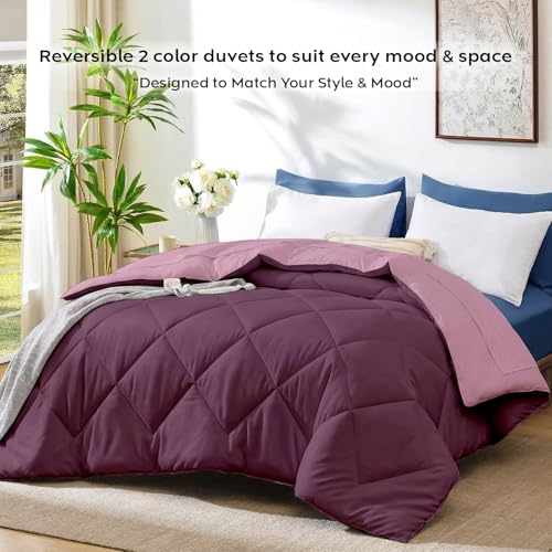 Image of AYKA Reversible AC Comforter 150 GSM Lightweight Microfiber Summer Blanket for Double Bed (90x100 Inches) | Soft Cooling Quilt, Breathable All Season Duvet for AC Room | Cameo & Plum